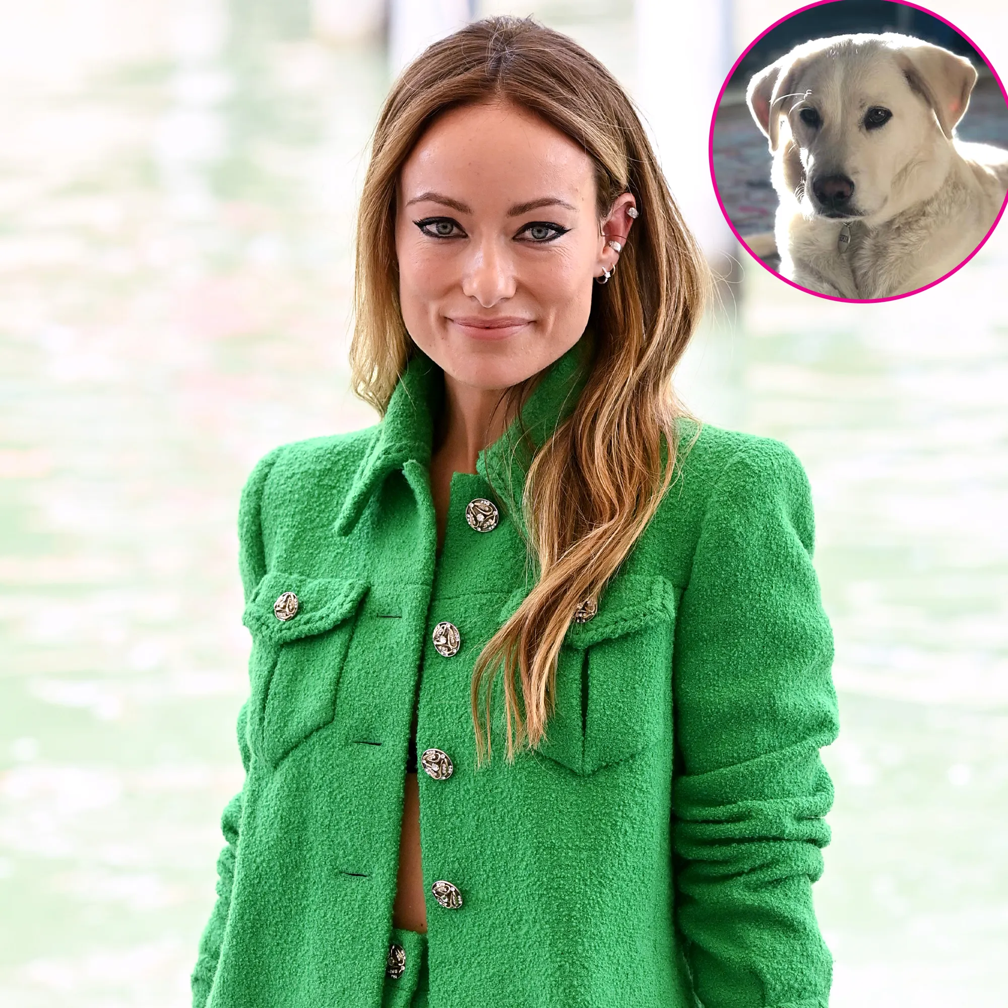 Los Angeles Animal Shelter Reveals Why Olivia Wilde Rehomed Dog After Nanny Scandal: 'Out of Compassion'