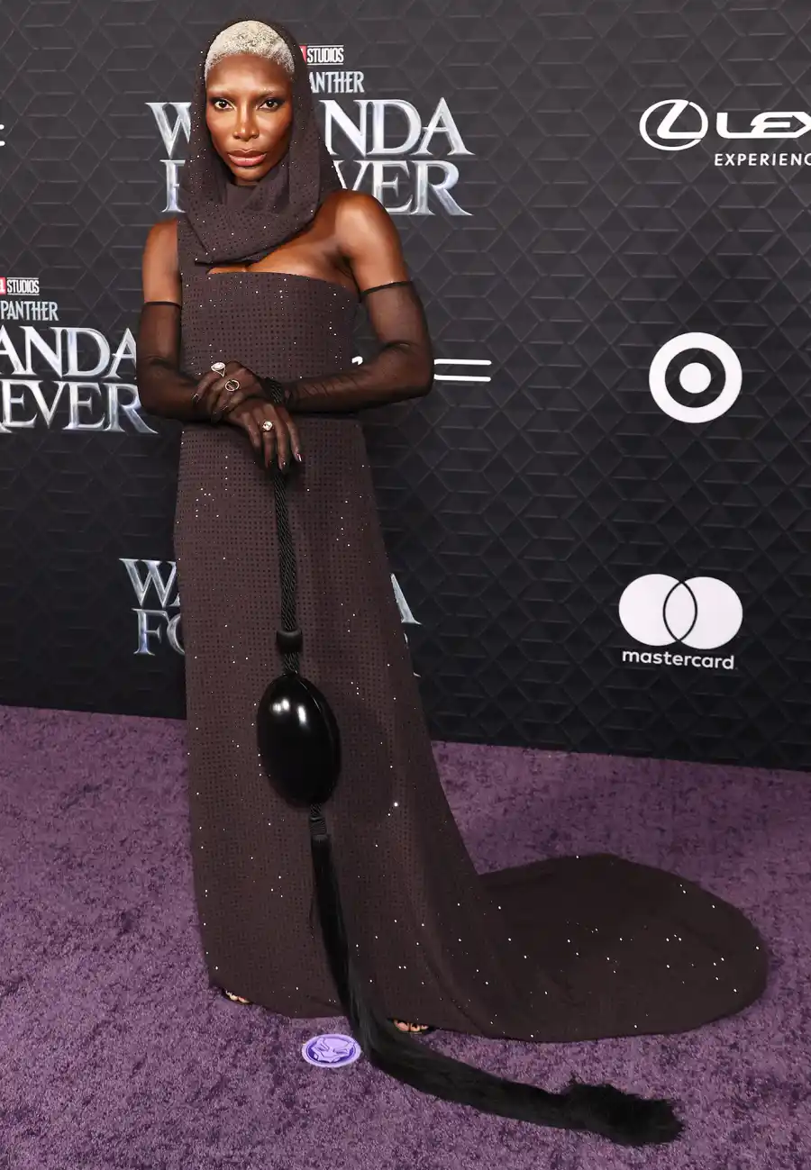 Wakanda Premiere