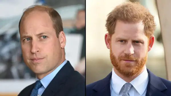 Prince William and Prince Harry's 'Rift Hasn't Been Resolved': William 'Can't Quite Forgive Harry'