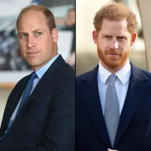 Prince William and Prince Harry's 'Rift Hasn't Been Resolved': William 'Can't Quite Forgive Harry'