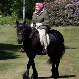 Queen Elizabeth II Horse