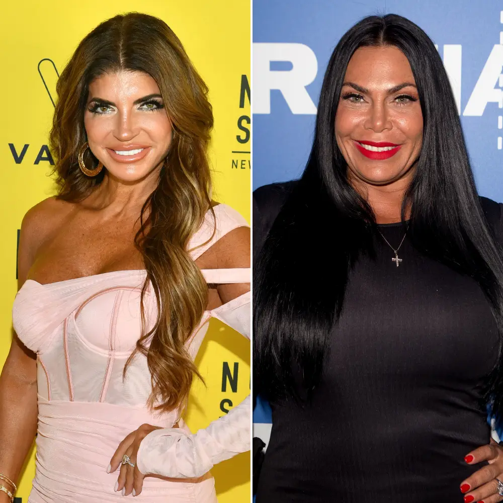 RHONJ's Teresa Giudice Announces Christmas Movie With Mob Wives' Renee Graziano: 'I Had a Blast'