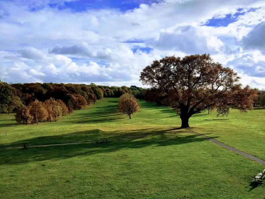 Where Was 'Dark Shadows' Filmed? Guide to All of the Set Locations