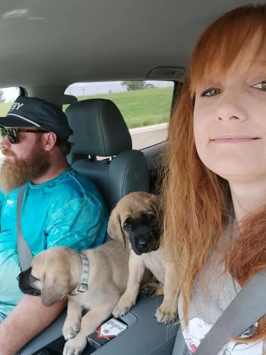 Brenda Flint 5 Things Know About Jake Flints Wife After His Death