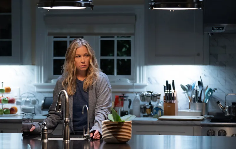 Everything Christina Applegate Has Said About Her Multiple Sclerosis Battle- Diagnosis, ‘Dead to Me’ Struggles and More 303