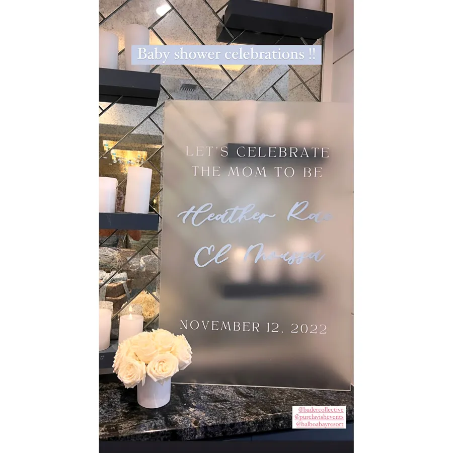 Inside Pregnant Heather Rae Young's Winter Wonderland Baby Shower: See Party Photos