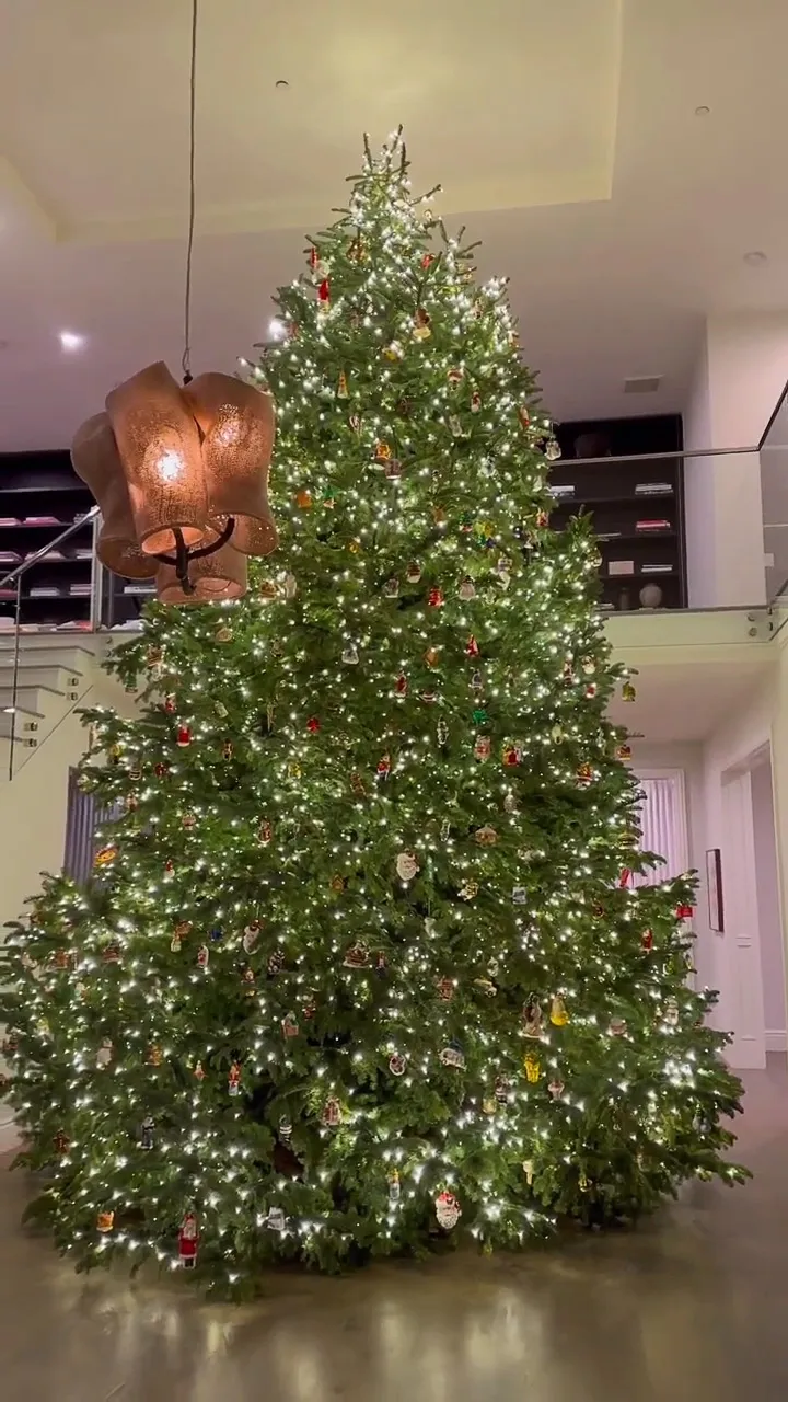 Priyanka Chopra, Jana Kramer and More Celebs Show Off Their 2022 Holiday Decorations- See Photos 232