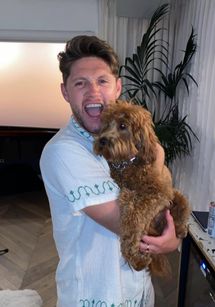 You're Welcome! See Niall Horan and More Hot Hunks Cuddling Cute Puppies