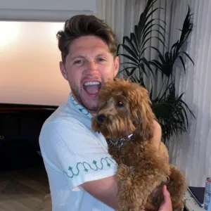 You're Welcome! See Niall Horan and More Hot Hunks Cuddling Cute Puppies