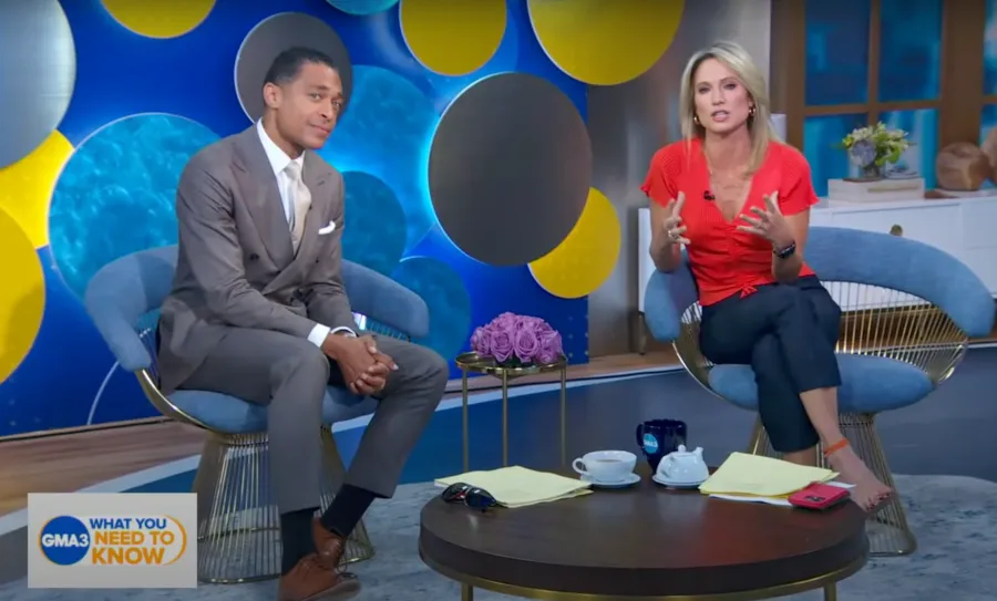 GMA's Amy Robach, T.J. Holmes' Candid Quotes About Each Other