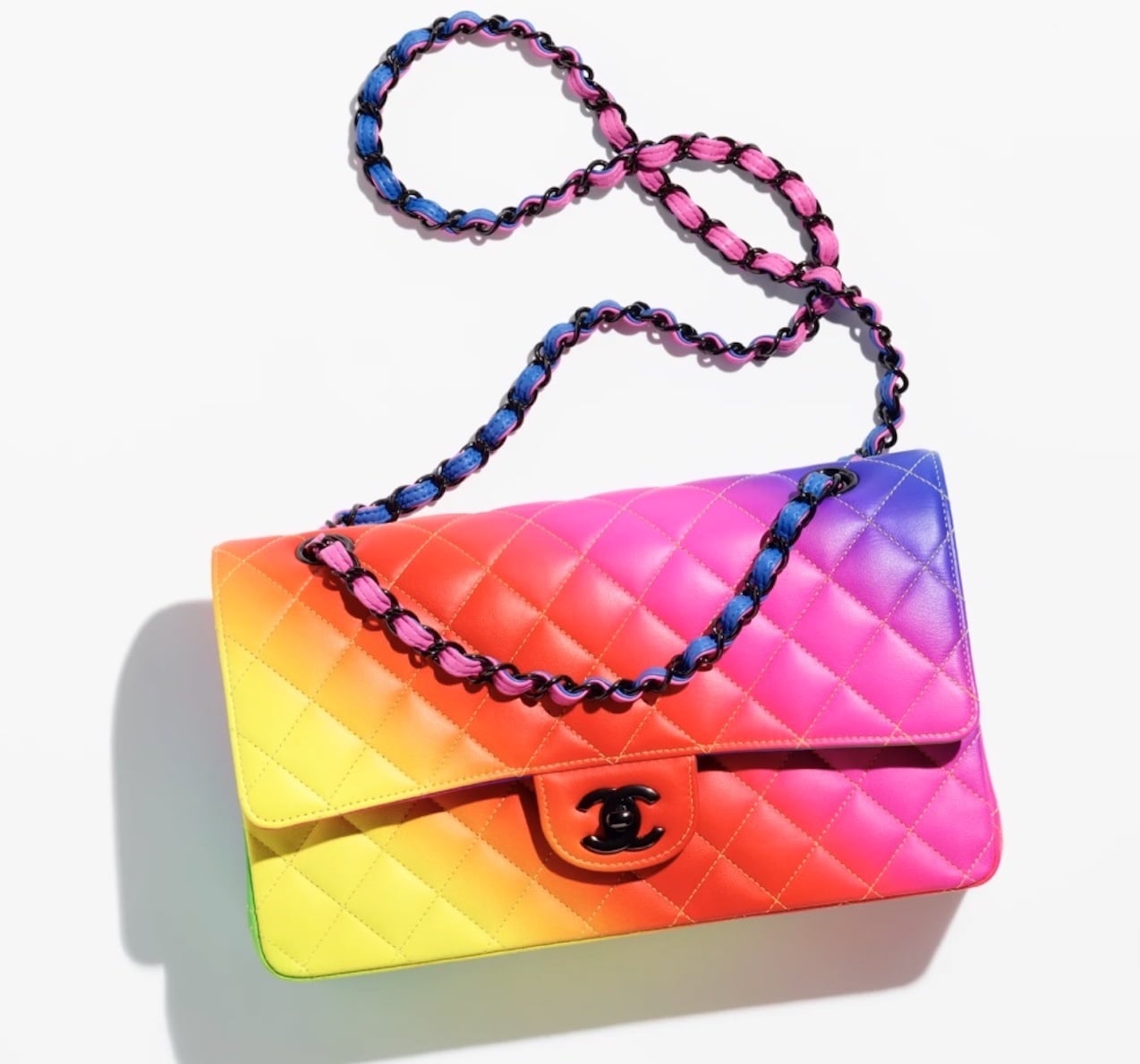 Chanel bag,Chanel Cruise bags 2023