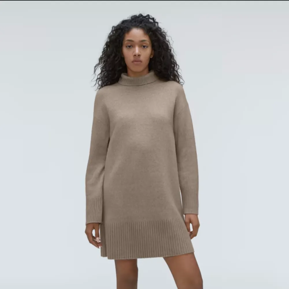 The Cozy Stretch Turtleneck Dress