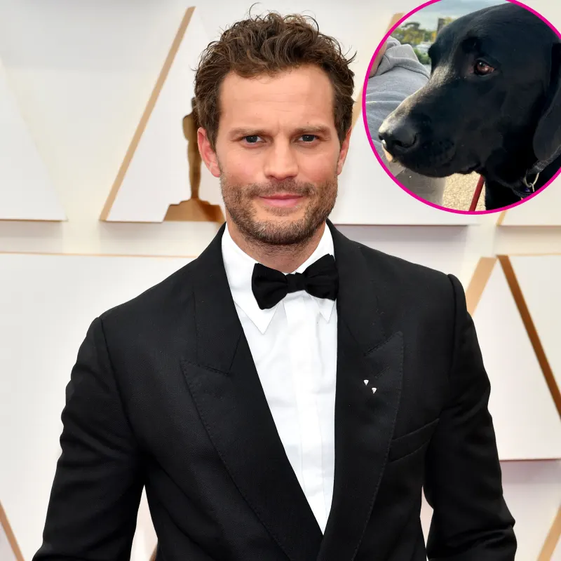 You’re Welcome! See Jamie Dornan and More Hot Hunks Snuggle Cute Puppies