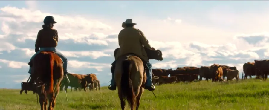 ‘Heartland' Season 16: Everything We Know So Far