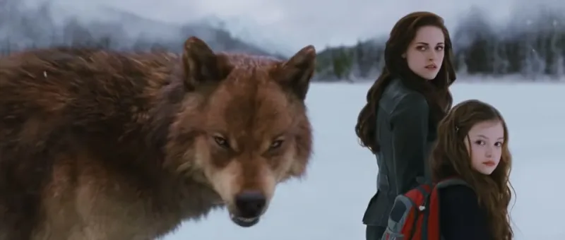 How to Watch All of the 'Twilight' Movies in Chronological Order