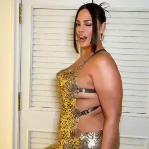 Ashley Graham Claps Back at 'Fat Positivity' Slam With a Sexy Photo Challenge