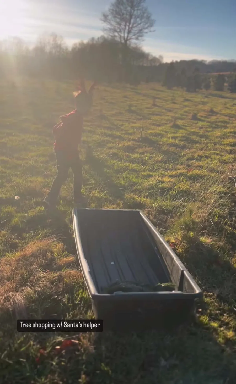 Celebrities Visiting Christmas Tree Farms in 2022: Jennifer Aniston, More