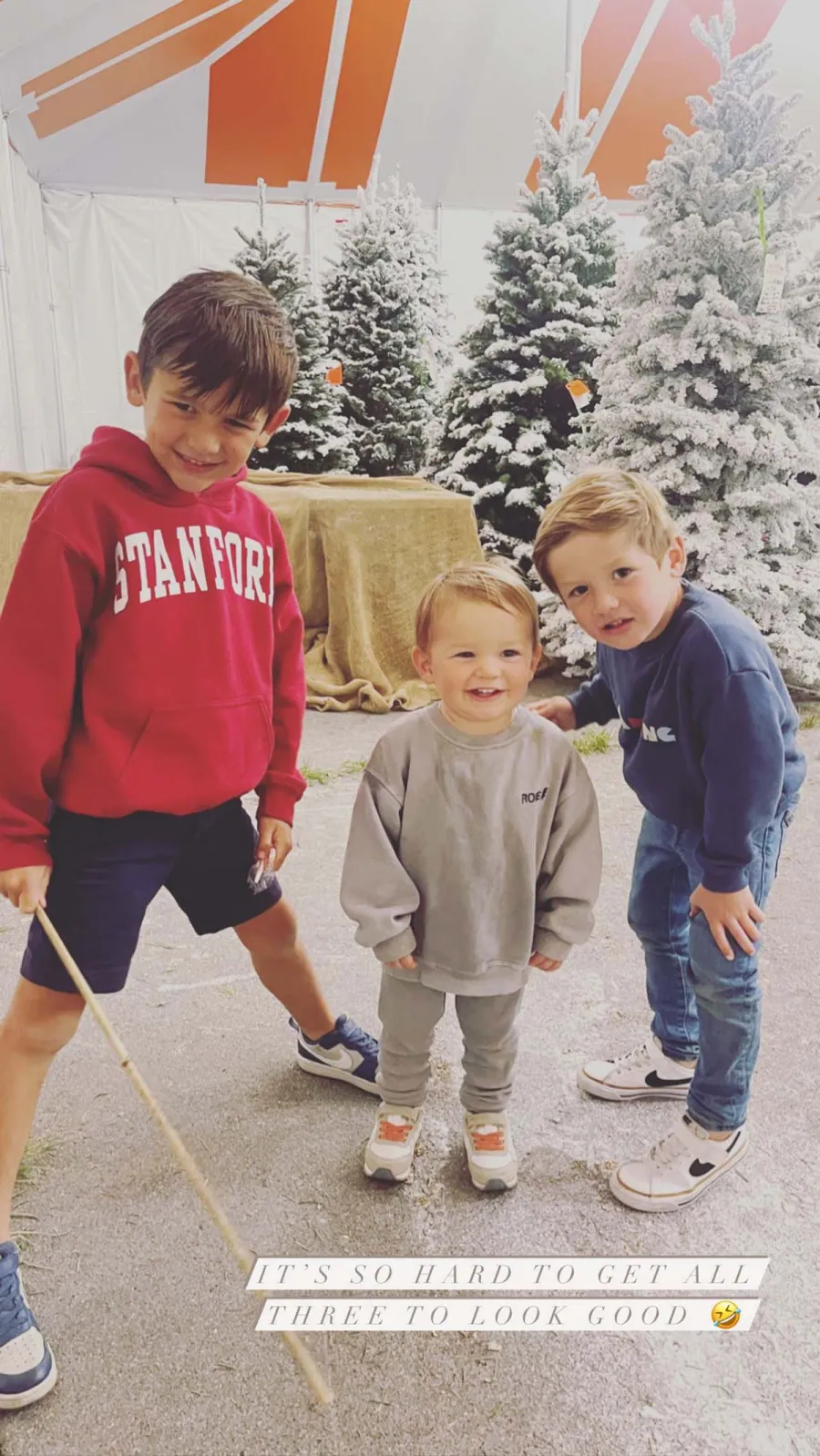 Celebrities Visiting Christmas Tree Farms in 2022: Jennifer Aniston, More