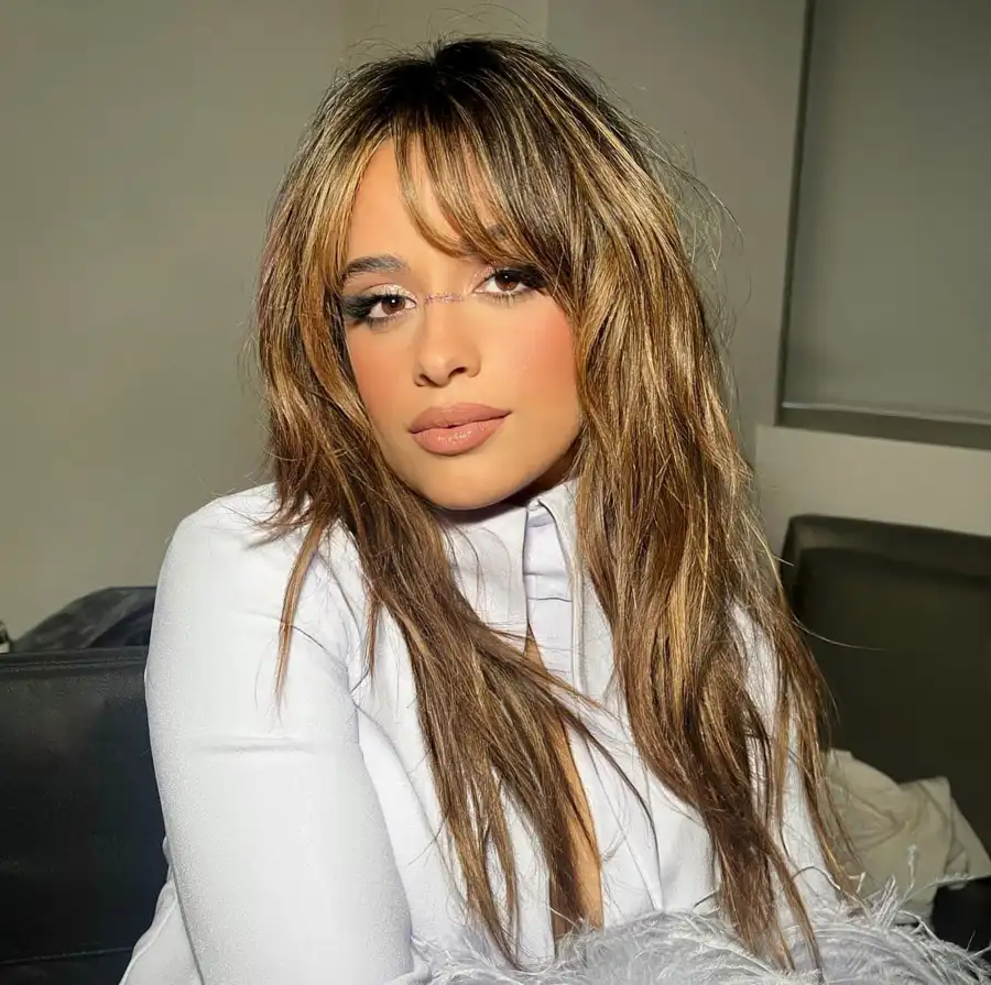 Celebs With Wolf Cut Camilla Cabello