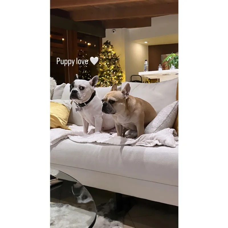 Cheryl Burke Plays With Her 2 Dogs Amid Pet Custody Drama With Ex Matthew Lawrence 3