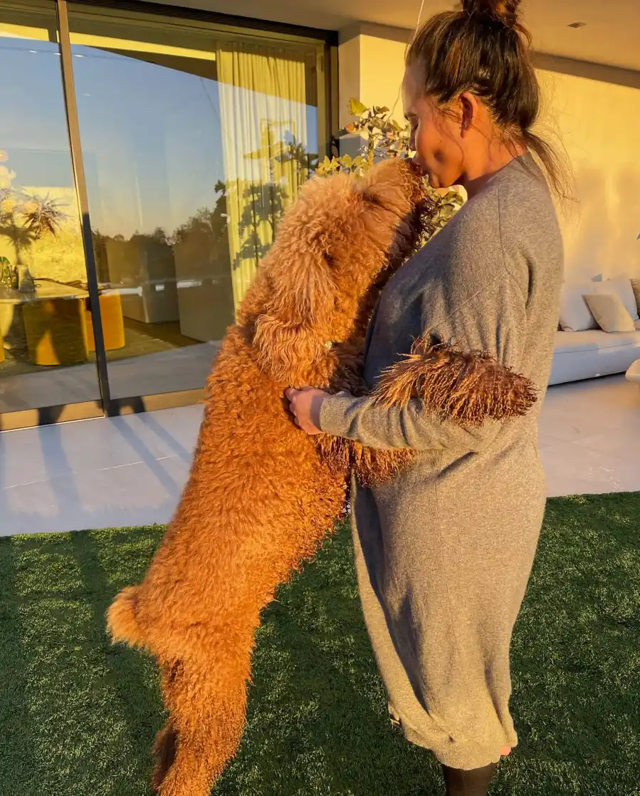 Celebs Gush Over Their Dogs