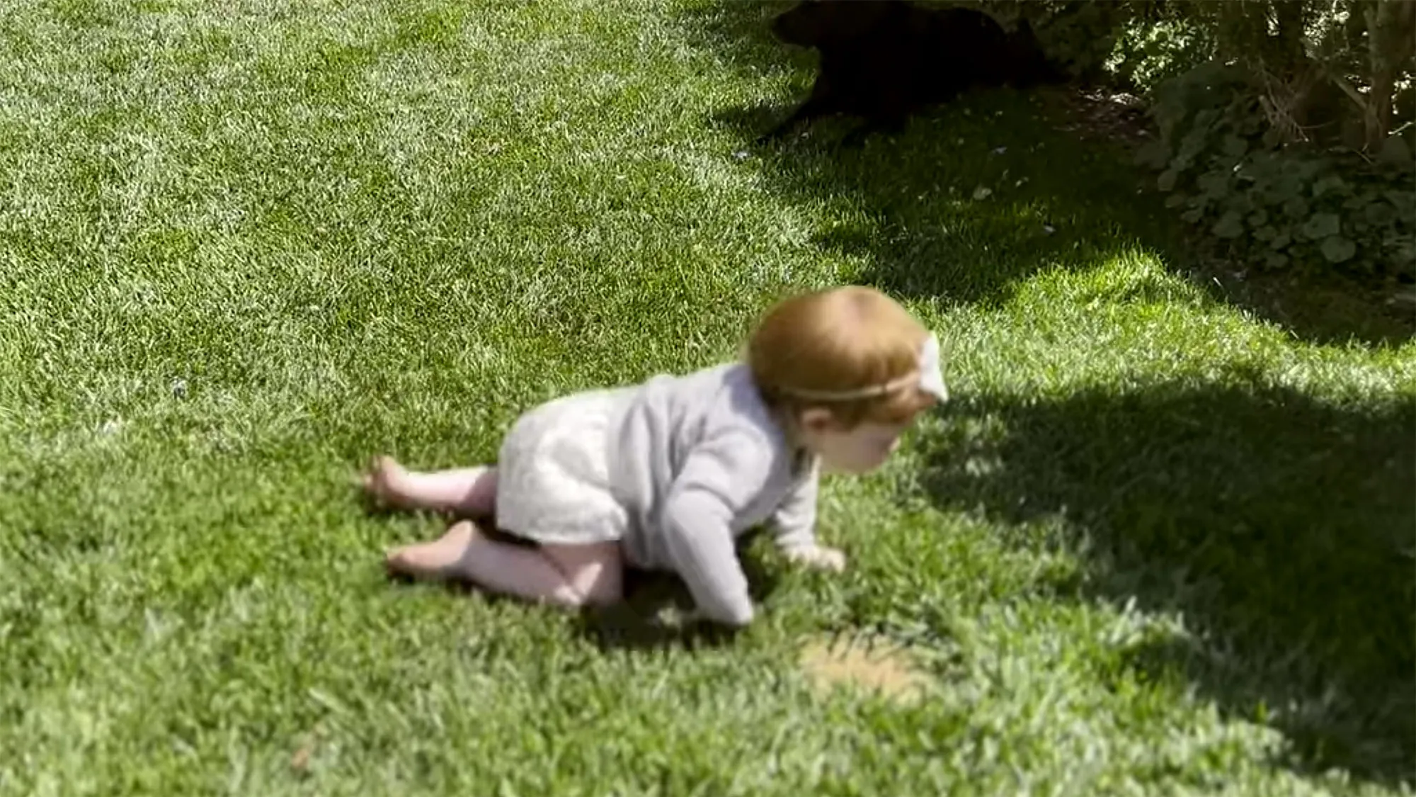 Harry Says Daughter Lilibet Reminds Him of Diana 3