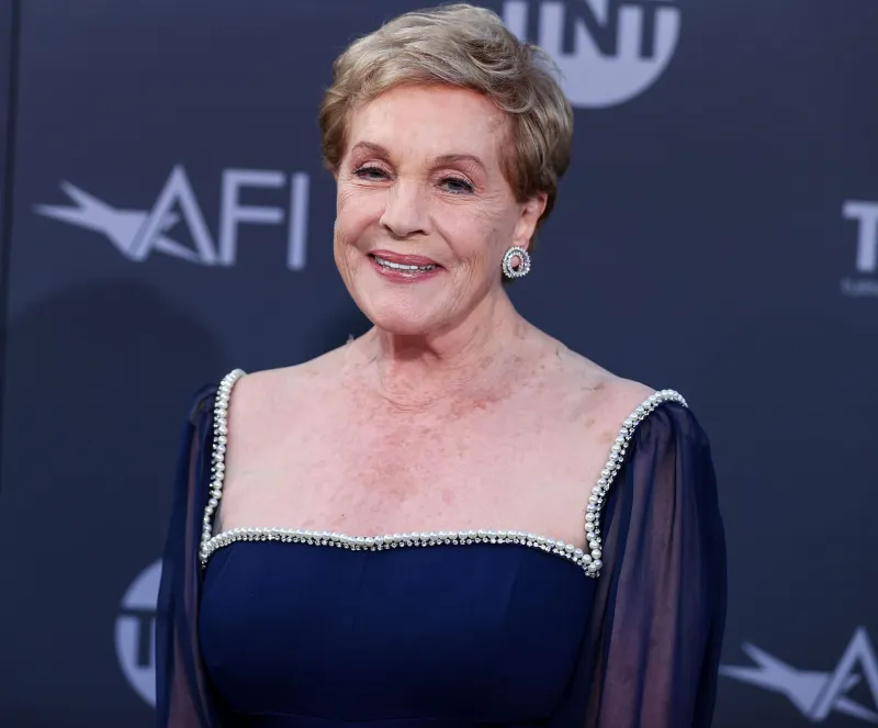 Julie Andrews Breaks Silence on 'Princess Diaries 3' Involvement