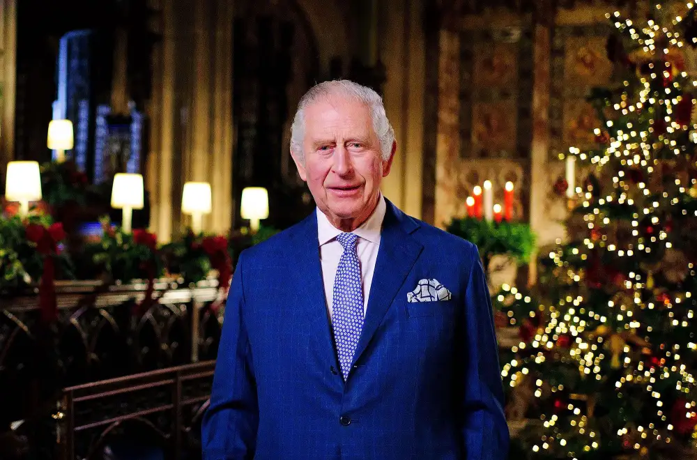 King Charles III Doesn't Mention Prince Harry and Meghan Markle in Christmas Speech &mdash; After Shouting Out Prince William and Princess Kate - 234