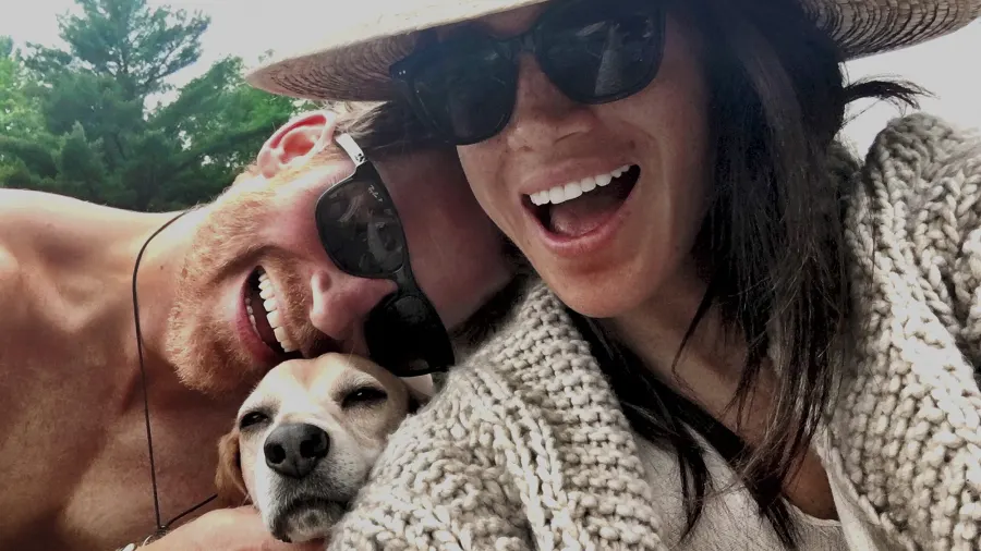 Prince Harry and Meghan Markle's Beagle - 877