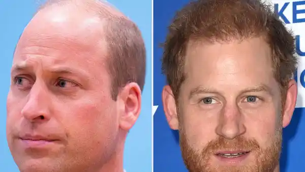 Prince William's 'Conflict' With Prince Harry Has Heightened After Netflix's 'Harry & Meghan' Exposes 'Dirty Laundry' red flower