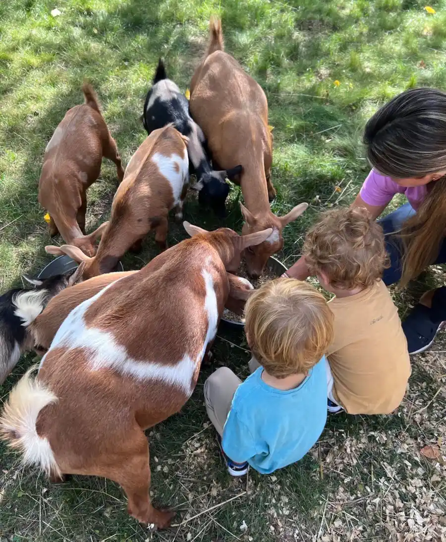 Richard Gere's Sweetest Photos With His 3 Sons, Wife Alejandra Silva Through the Years: Family Album cows and goats
