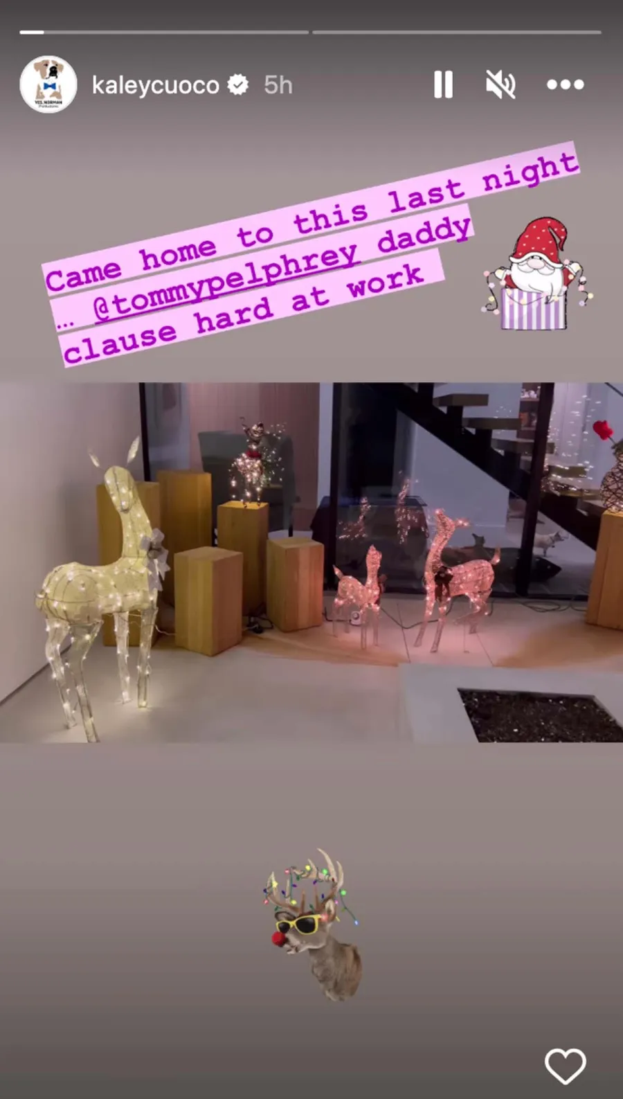 See Kaley Cuoco's Pregnancy Progress in Photos