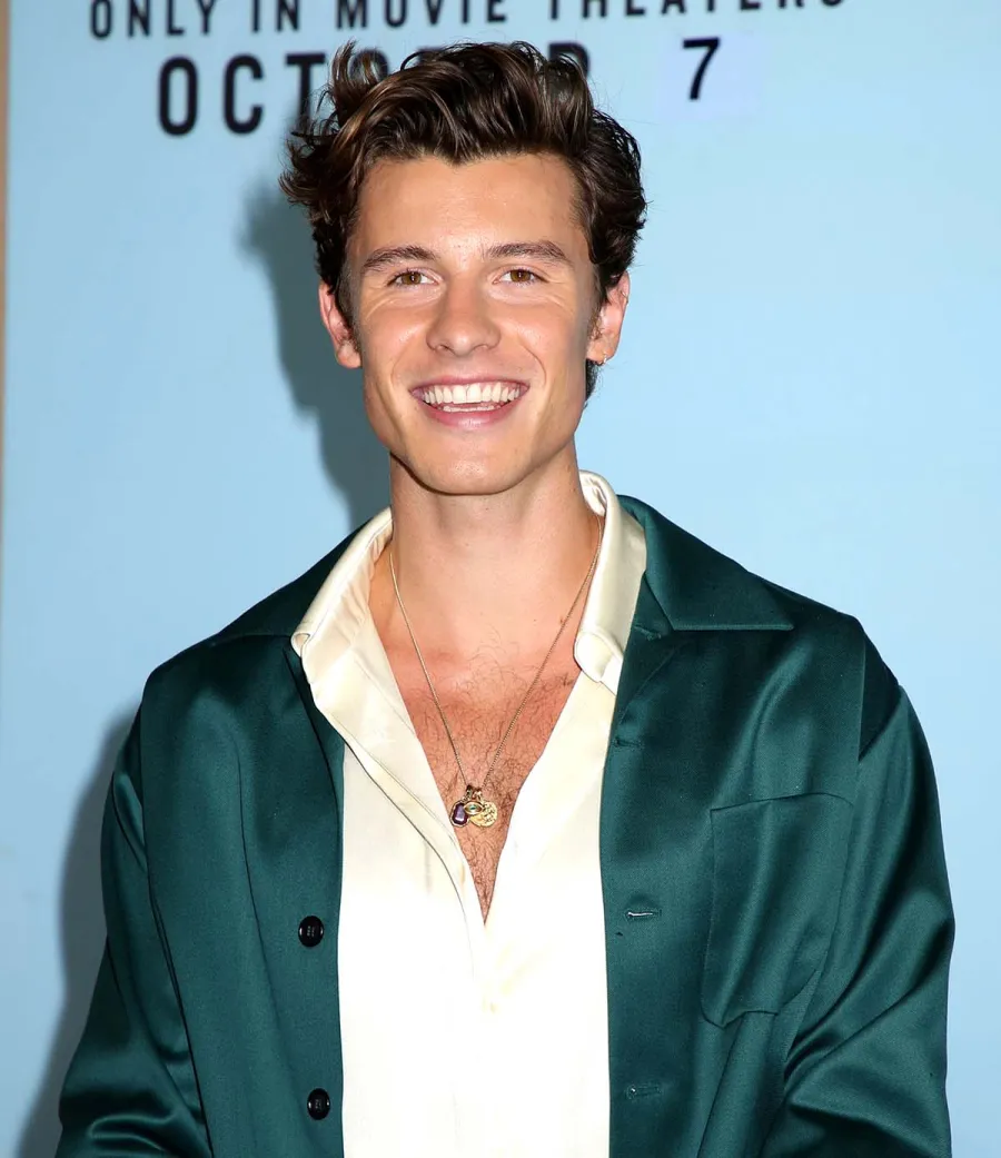 Shawn Mendes Strips Down for Cold-Water Plunge