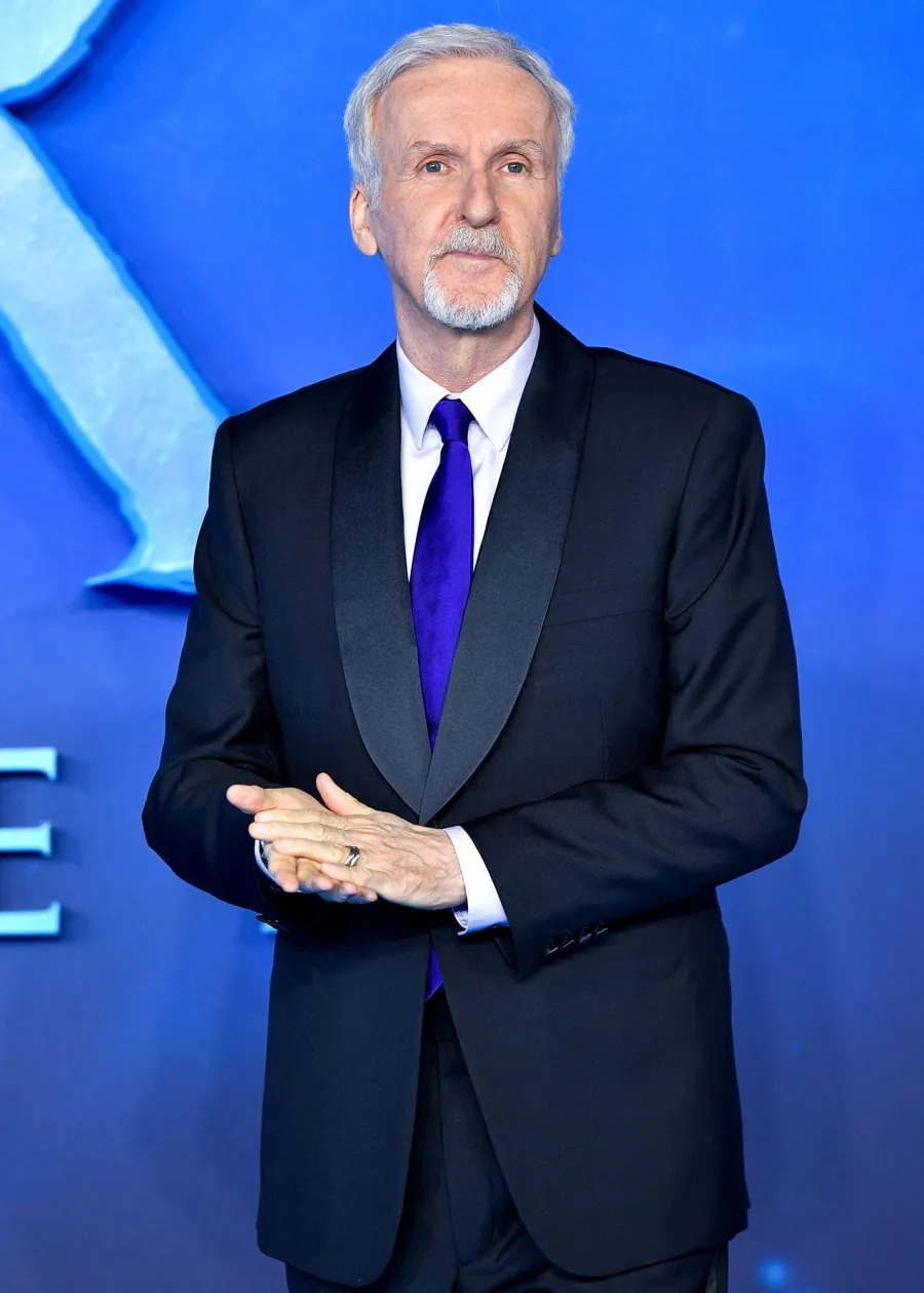 Could ‘Titanic’ Have Ended With Jack and Rose Both on the Door? Everything the Cast, Director James Cameron Have Said