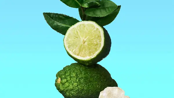 amazon-calvin-klein-ck-one-fragrance