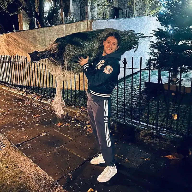 ‘Happy Holidays’! Niall Horan, More Stars Visiting Christmas Tree Farms