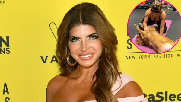 Pup Support! RHONJ’s Teresa Joined By Dog During Workout Session