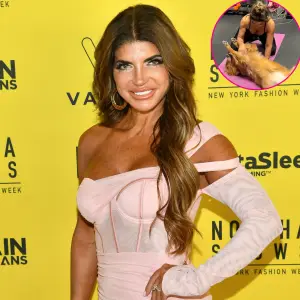 Pup Support! RHONJ’s Teresa Joined By Dog During Workout Session