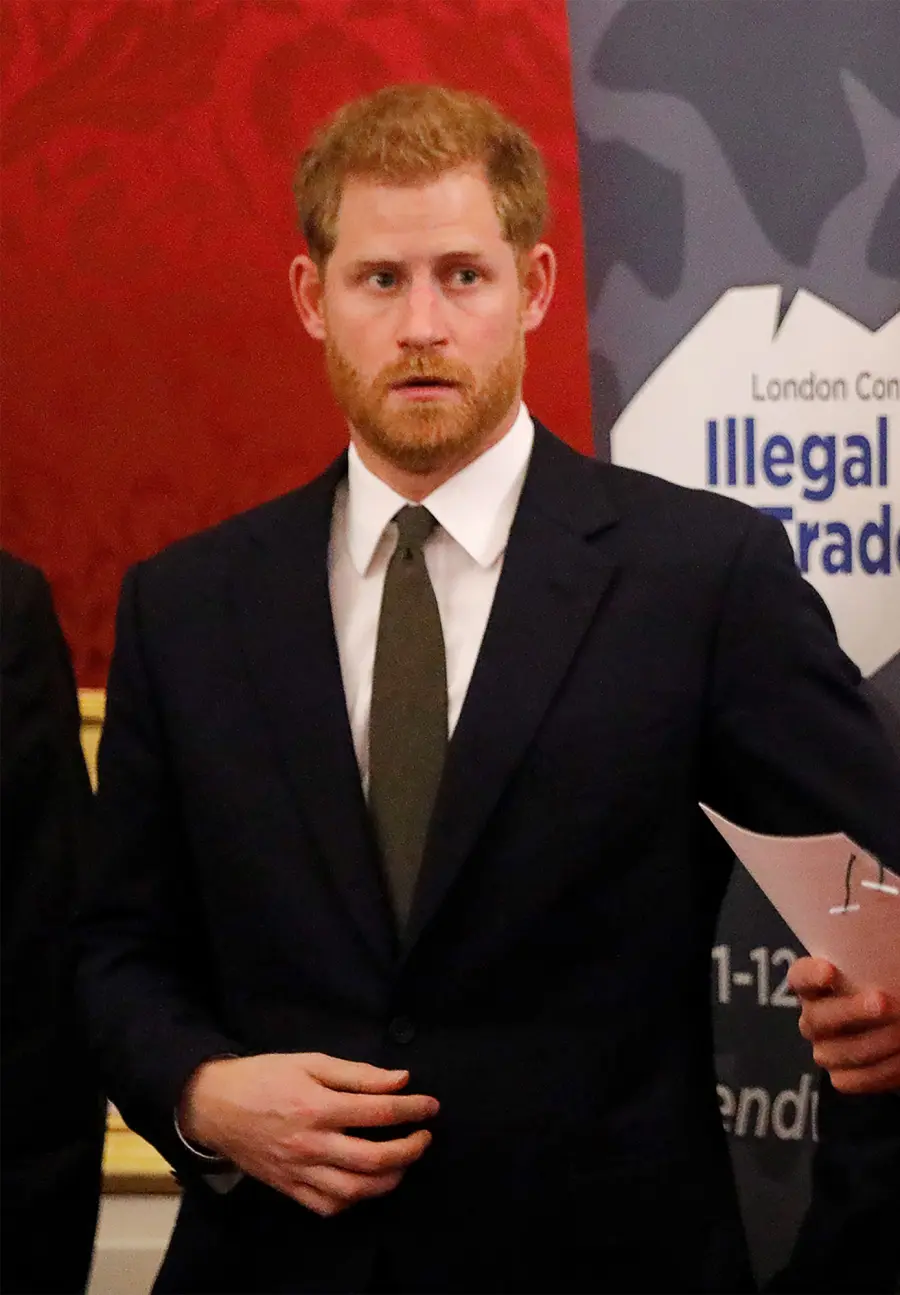 10 Things Us Didn’t Expect to Learn From ‘Spare’ - 825 Illegal Wildlife Trade Conference, London, UK - 10 Oct 2018