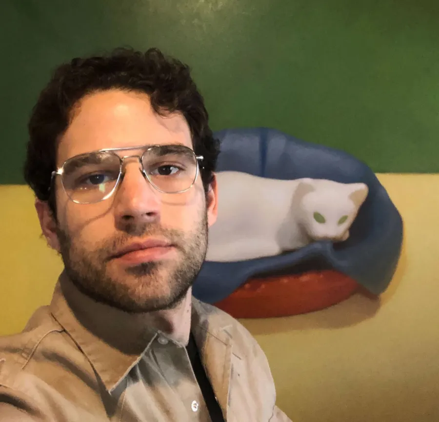 Ashley Olsen and Louis Eisner’s Relationship Timeline: Inside Their Private Romance cat painting