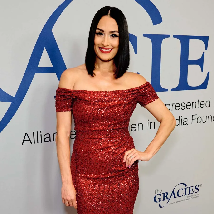 Sex Talk! Dress Drama! Biggest Revelations From 'Nikki Bella Says I Do'