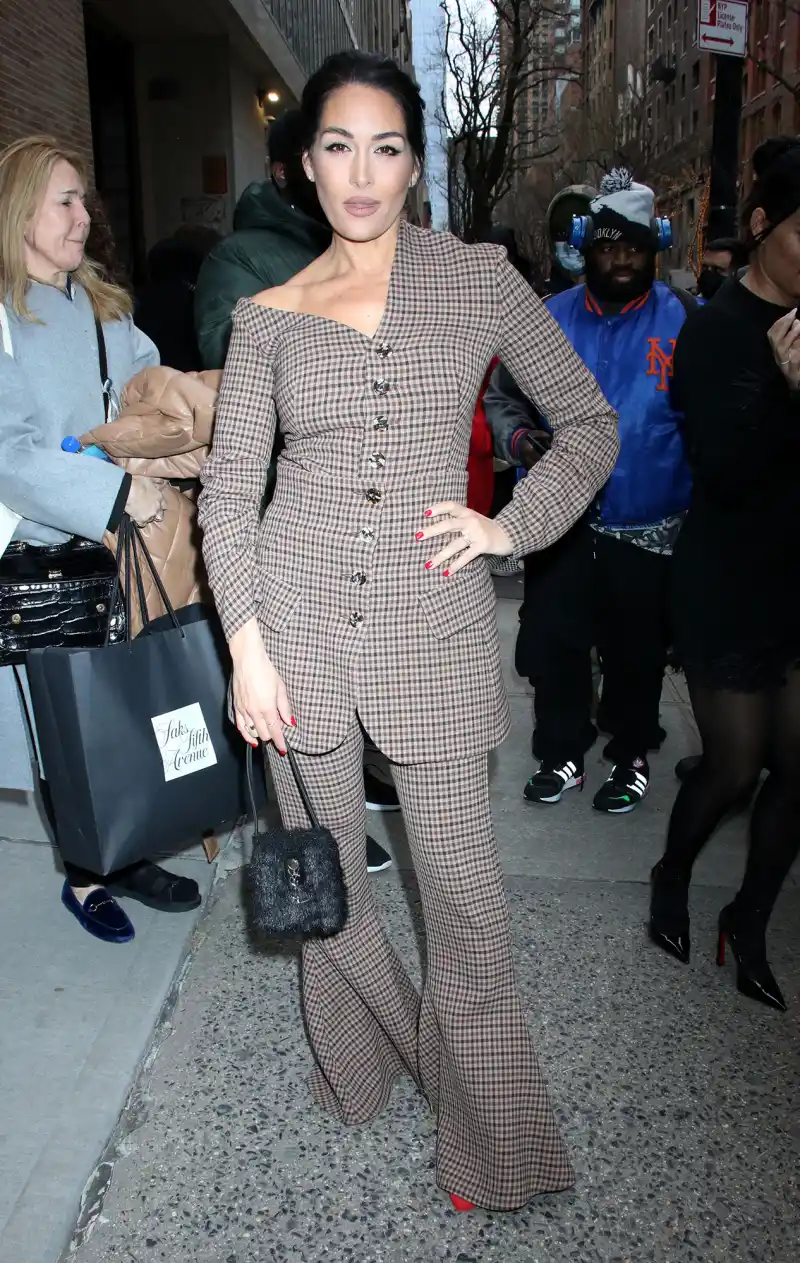 Brie Bella About Last Night