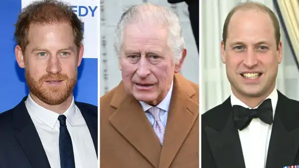 Charles Asked Feuding Harry, William Not to Make His 'Final Years a Misery