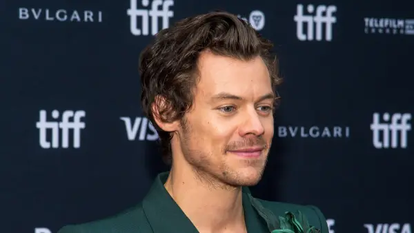 Harry Styles Spotted Hugging Sofia Krunic 2 Months After Olivia Wilde Split green blazer