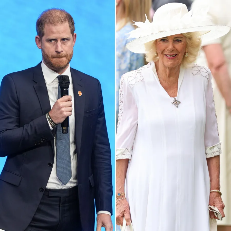 Harry and Camilla Relationship Through the Years