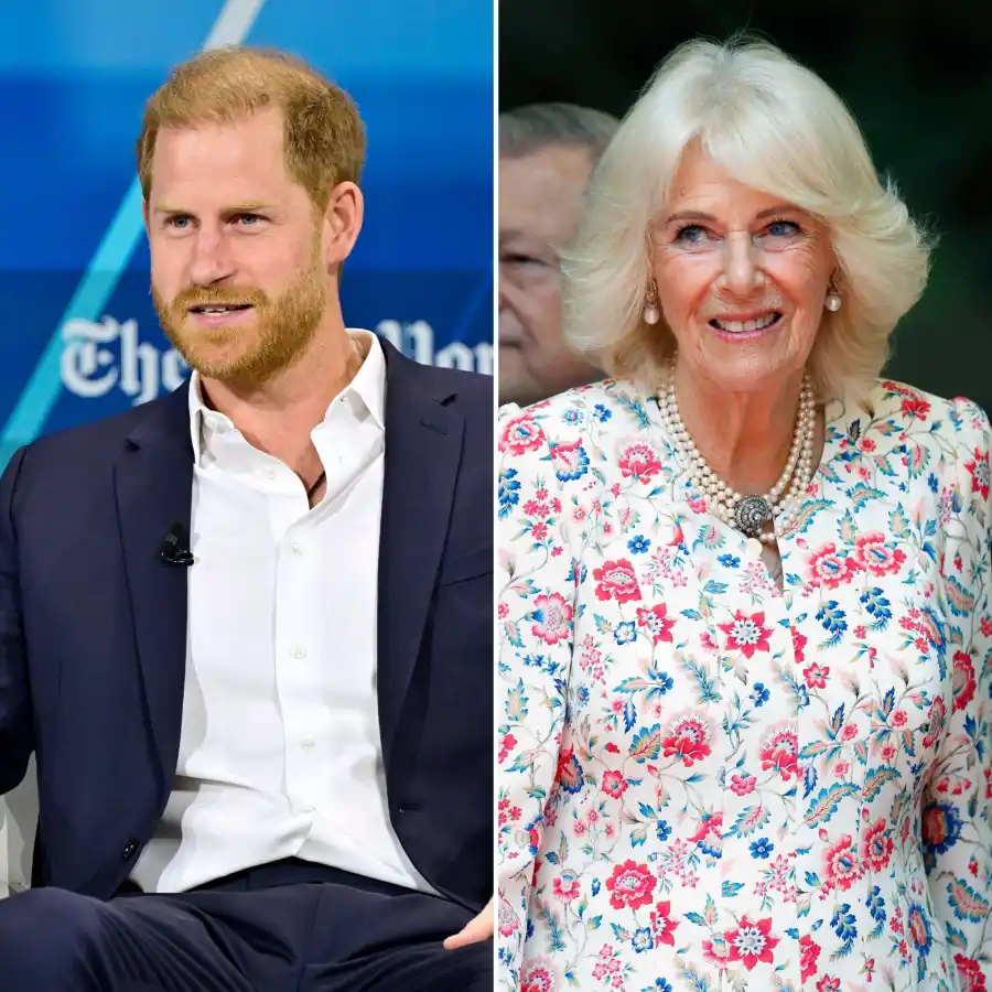 Harry and Camilla Relationship Through the Years