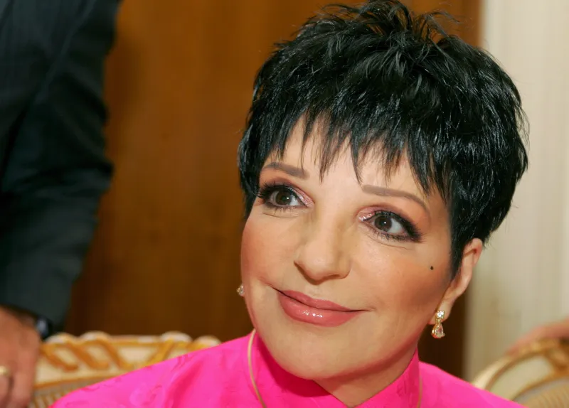 Liza Minnelli Through the Years: Her Life in Photos