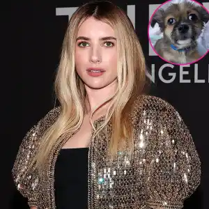 Miley Cyrus, Selena Gomez and More Who Are Adopting or Fostering Pets- Photos - 625 Celine show, Arrivals, Fall Winter 2023, Los Angeles, California, USA - 08 Dec 2022
