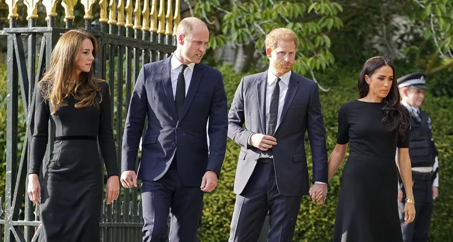 Prince Harry Claims Princess Kate Felt 'Forced to Compete' With Meghan