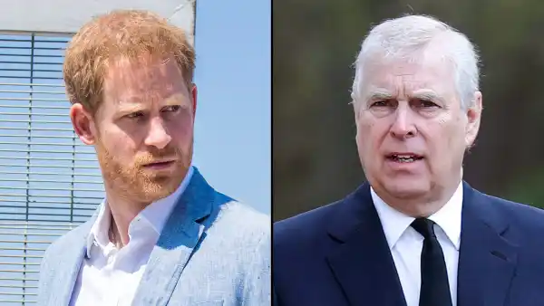 Prince Harry 'Never' Thought He'd Lose Palace Security After Prince Andrew Was Protected Amid Sexual Assault Scandal - 804